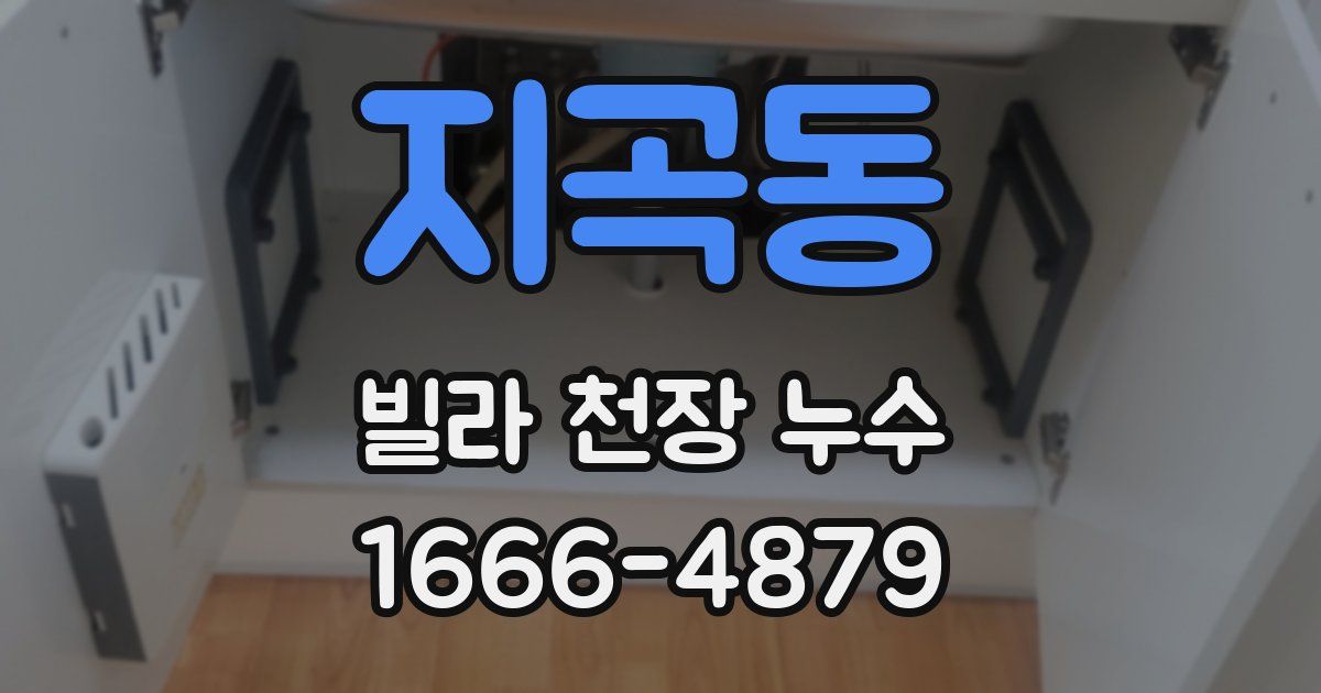 지곡동 빌라 천장 누수