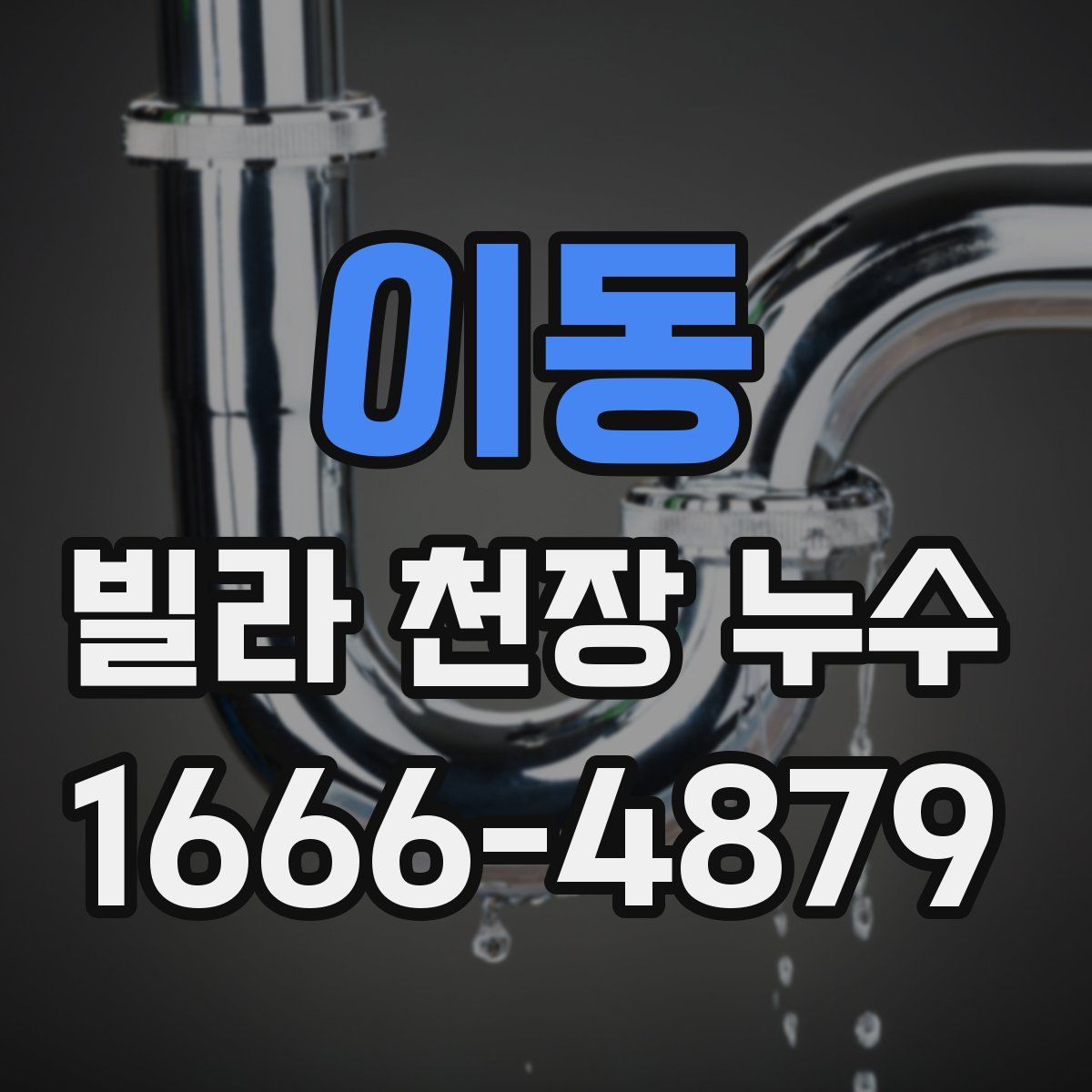 이동 빌라 천장 누수