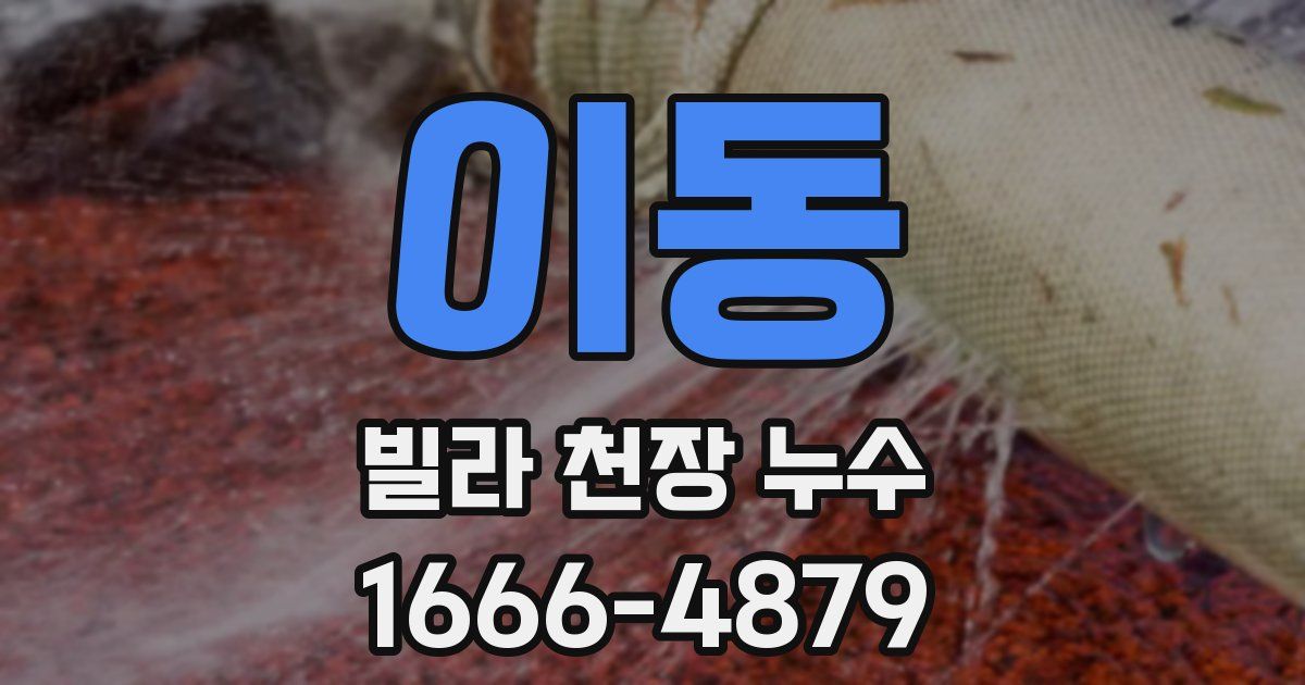 이동 빌라 천장 누수