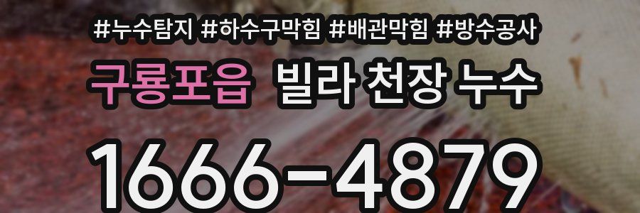 구룡포읍 빌라 천장 누수