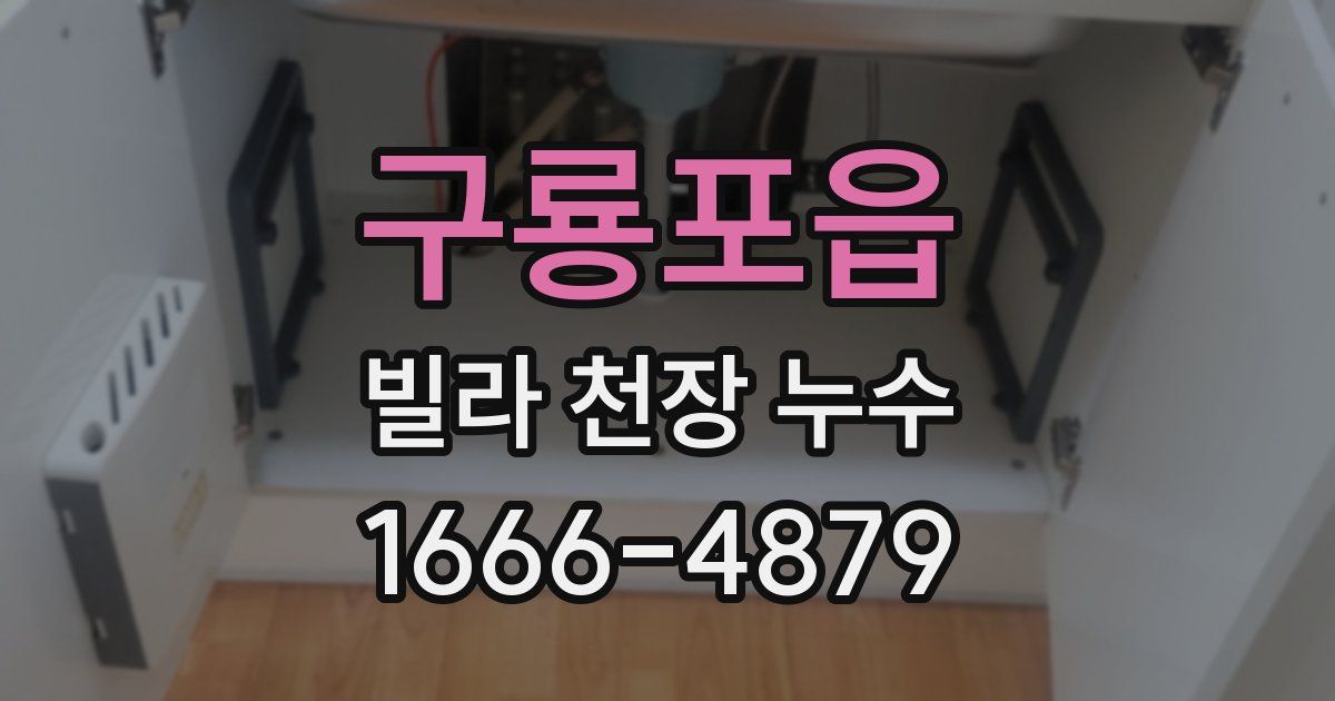구룡포읍 빌라 천장 누수