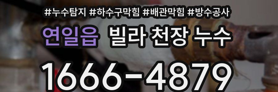 연일읍 빌라 천장 누수