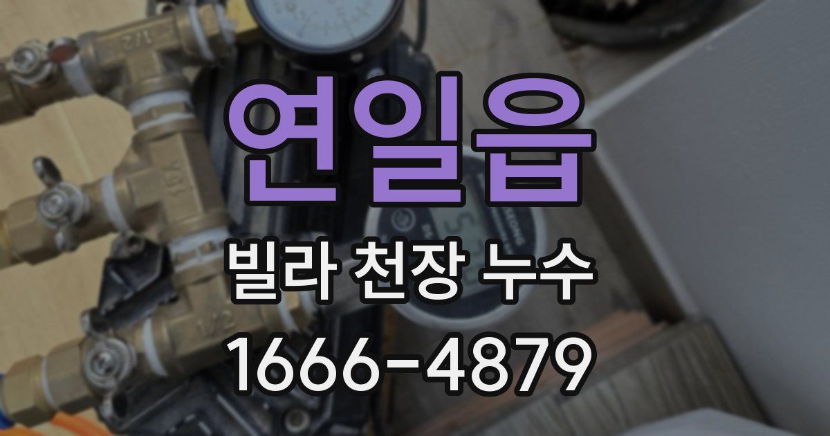 연일읍 빌라 천장 누수