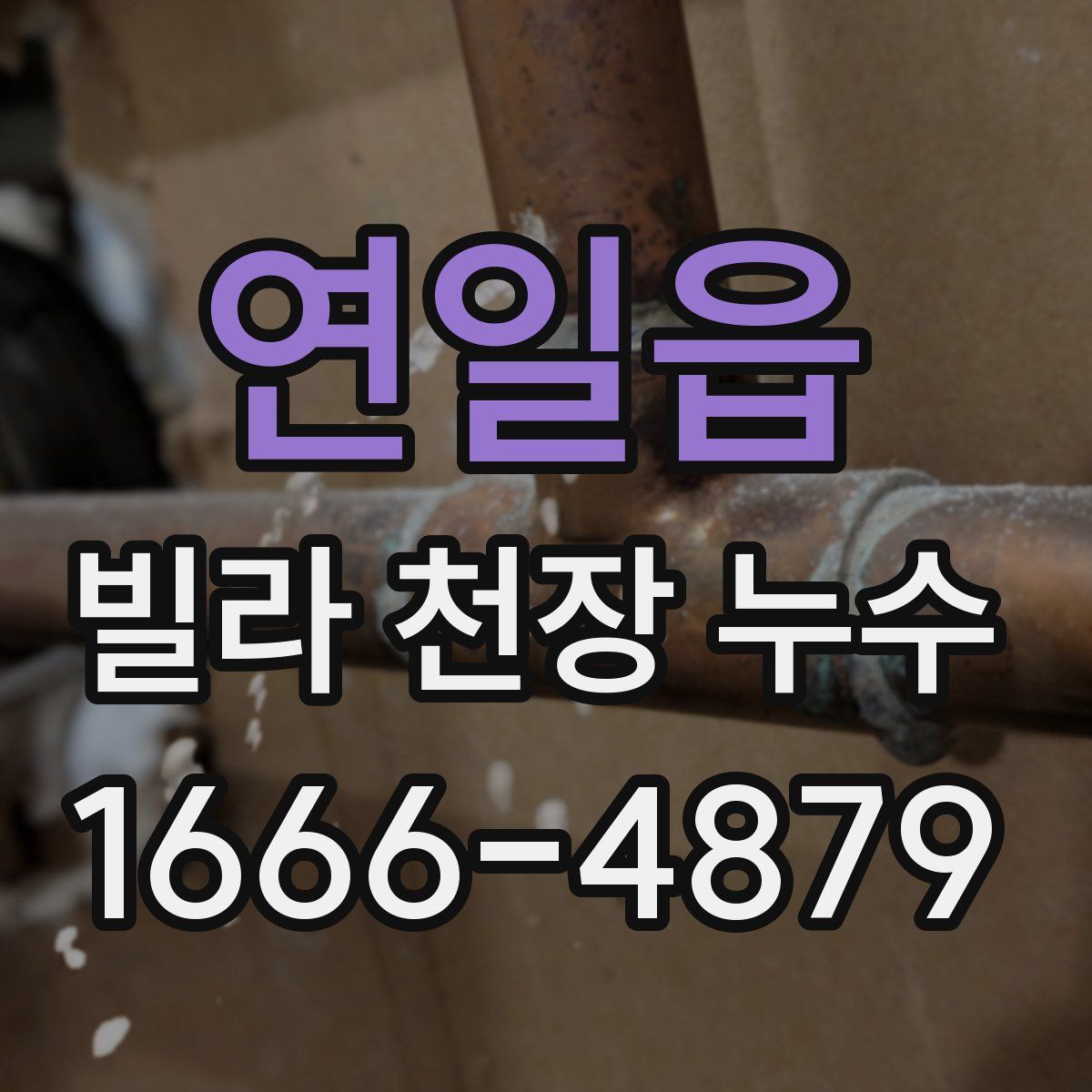 연일읍 빌라 천장 누수