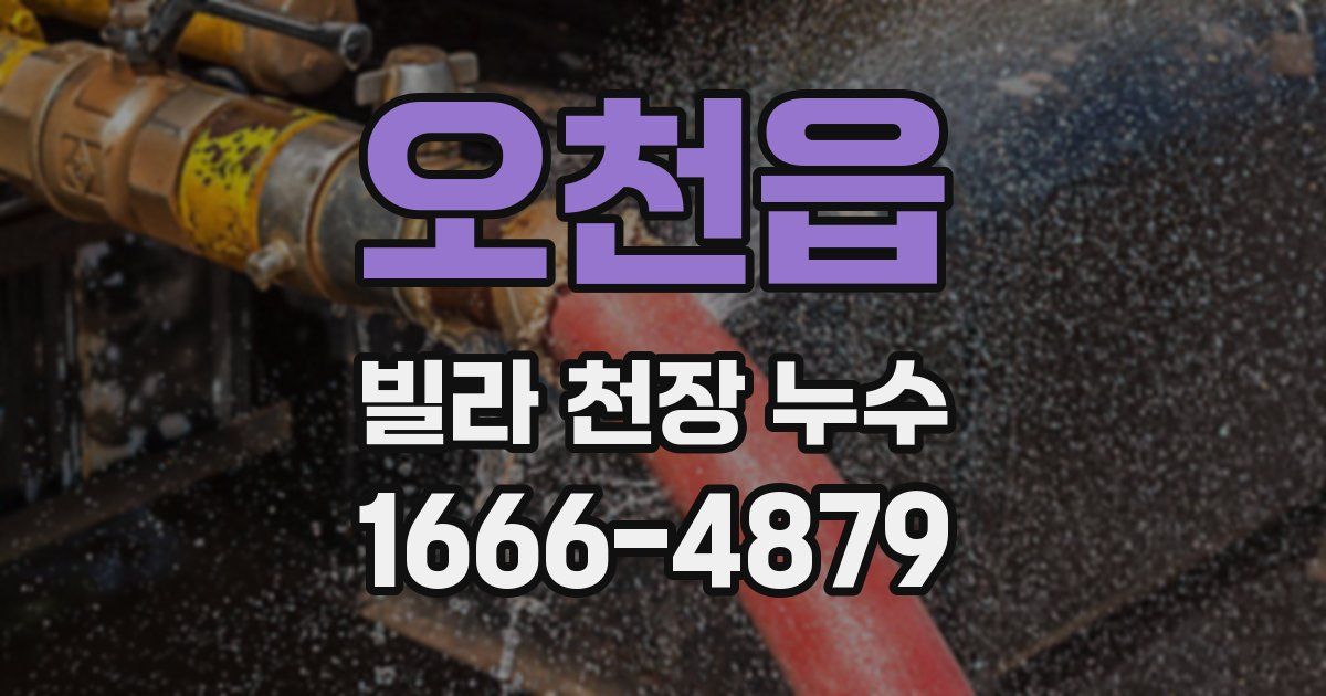 오천읍 빌라 천장 누수