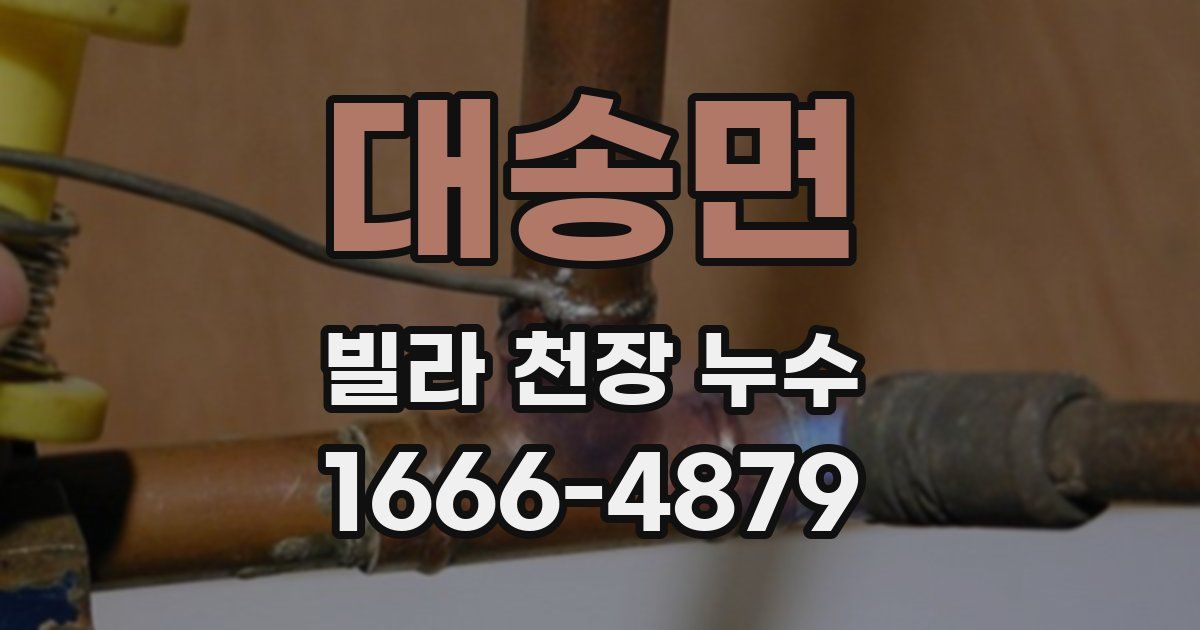대송면 빌라 천장 누수