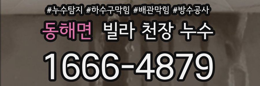 동해면 빌라 천장 누수