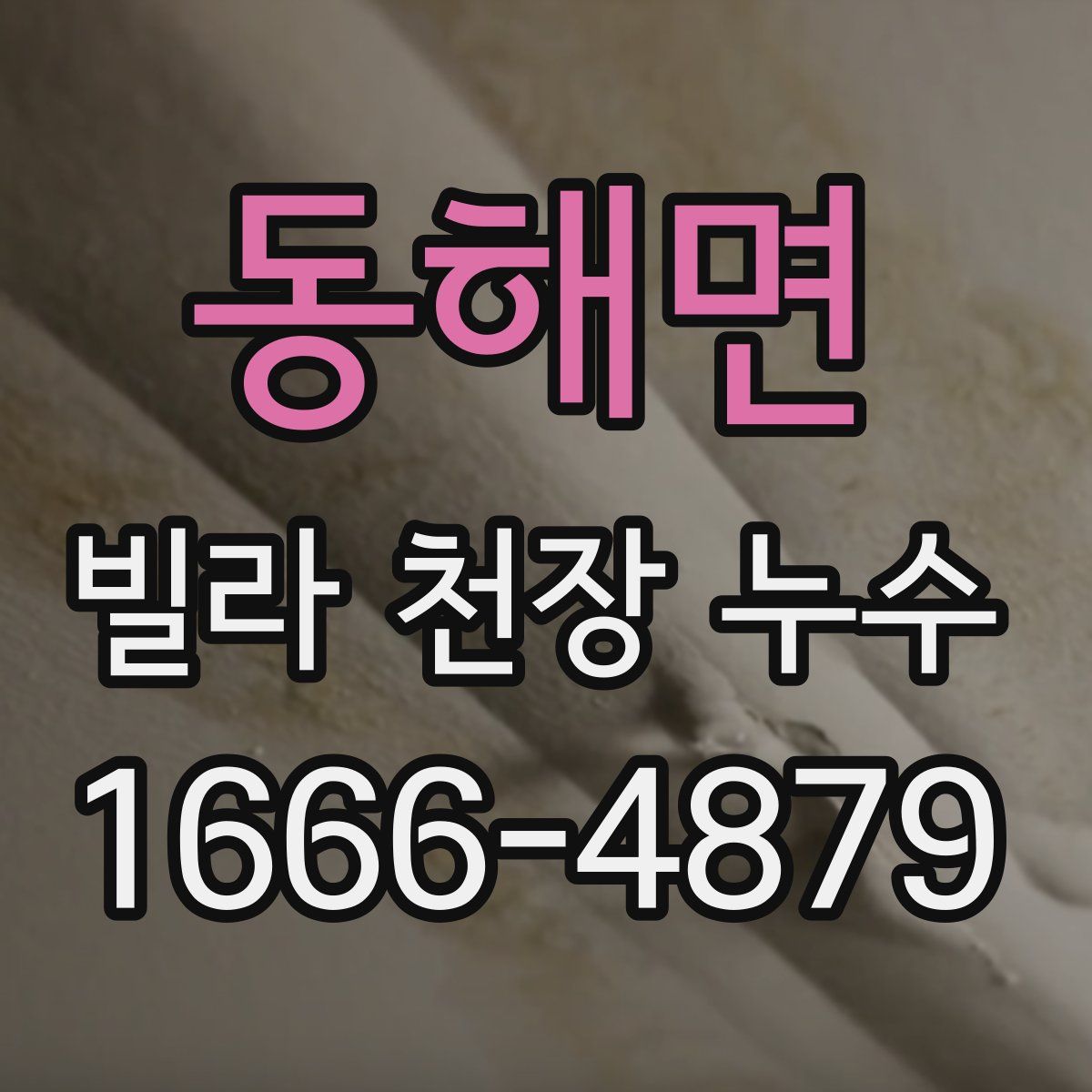 동해면 빌라 천장 누수