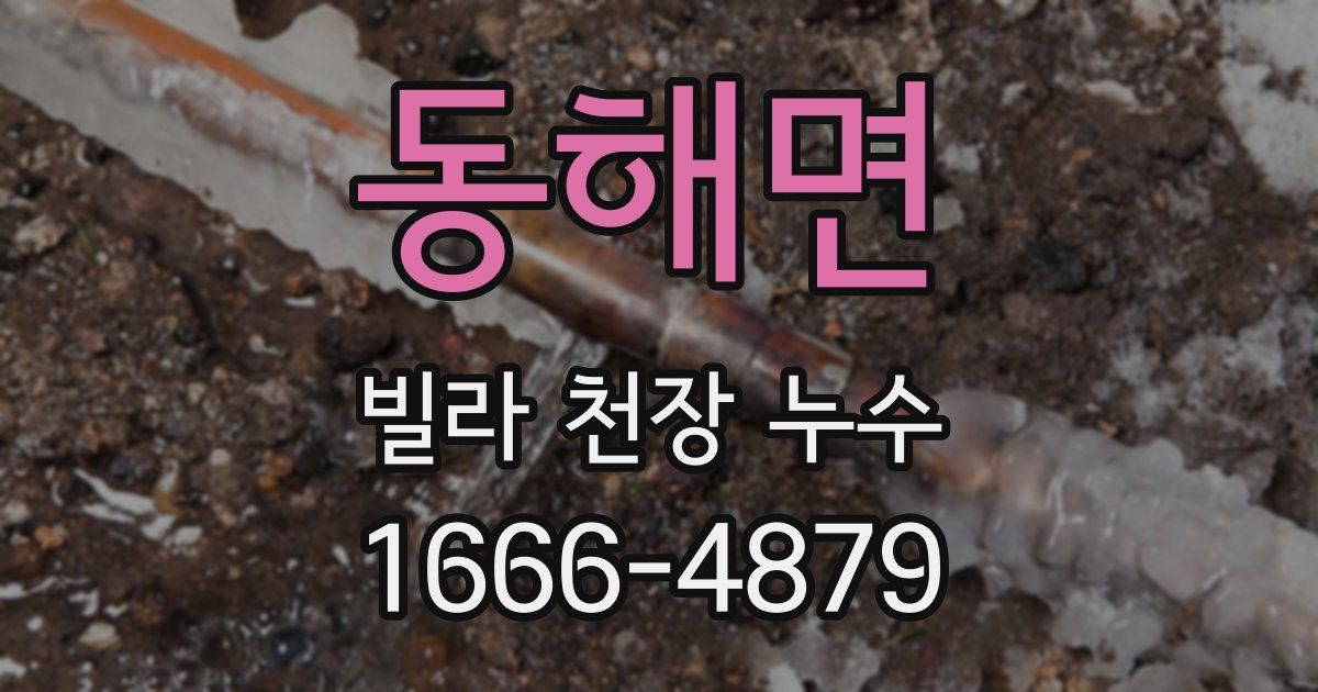 동해면 빌라 천장 누수