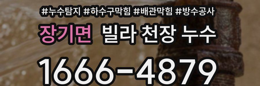 장기면 빌라 천장 누수
