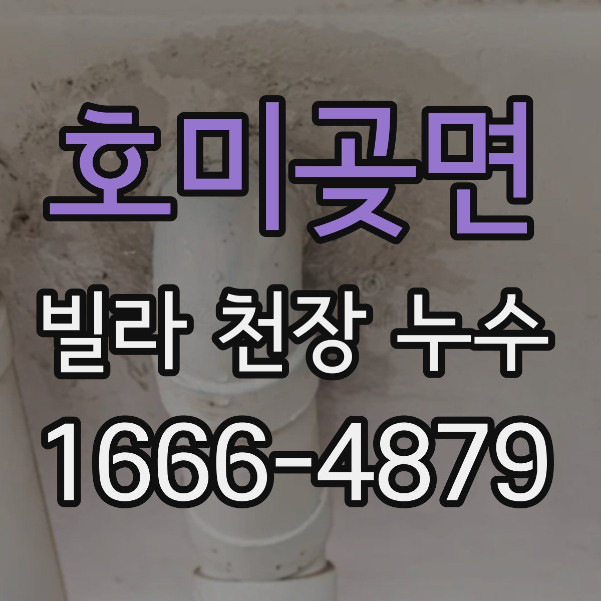 호미곶면 빌라 천장 누수