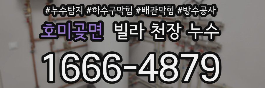 호미곶면 빌라 천장 누수