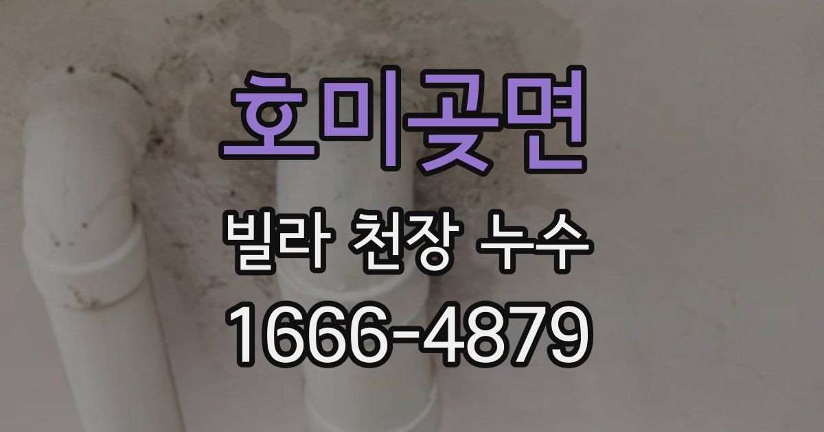 호미곶면 빌라 천장 누수