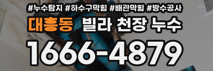 대흥동 빌라 천장 누수