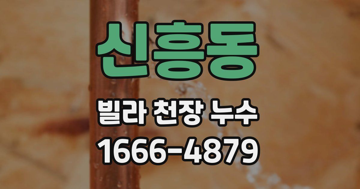 신흥동 빌라 천장 누수