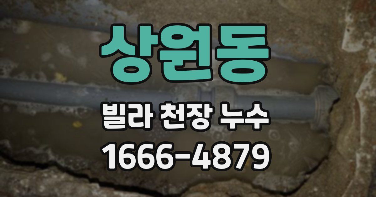 상원동 빌라 천장 누수