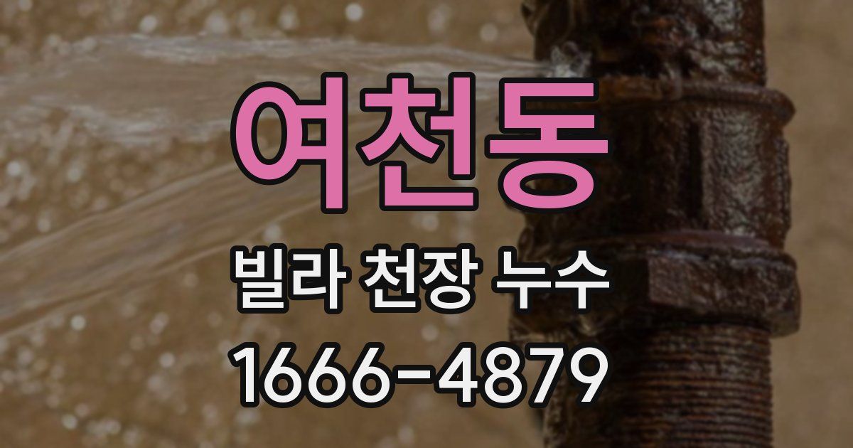 여천동 빌라 천장 누수