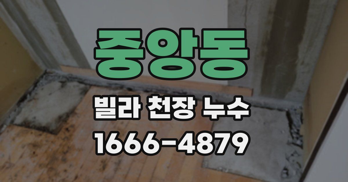 중앙동 빌라 천장 누수