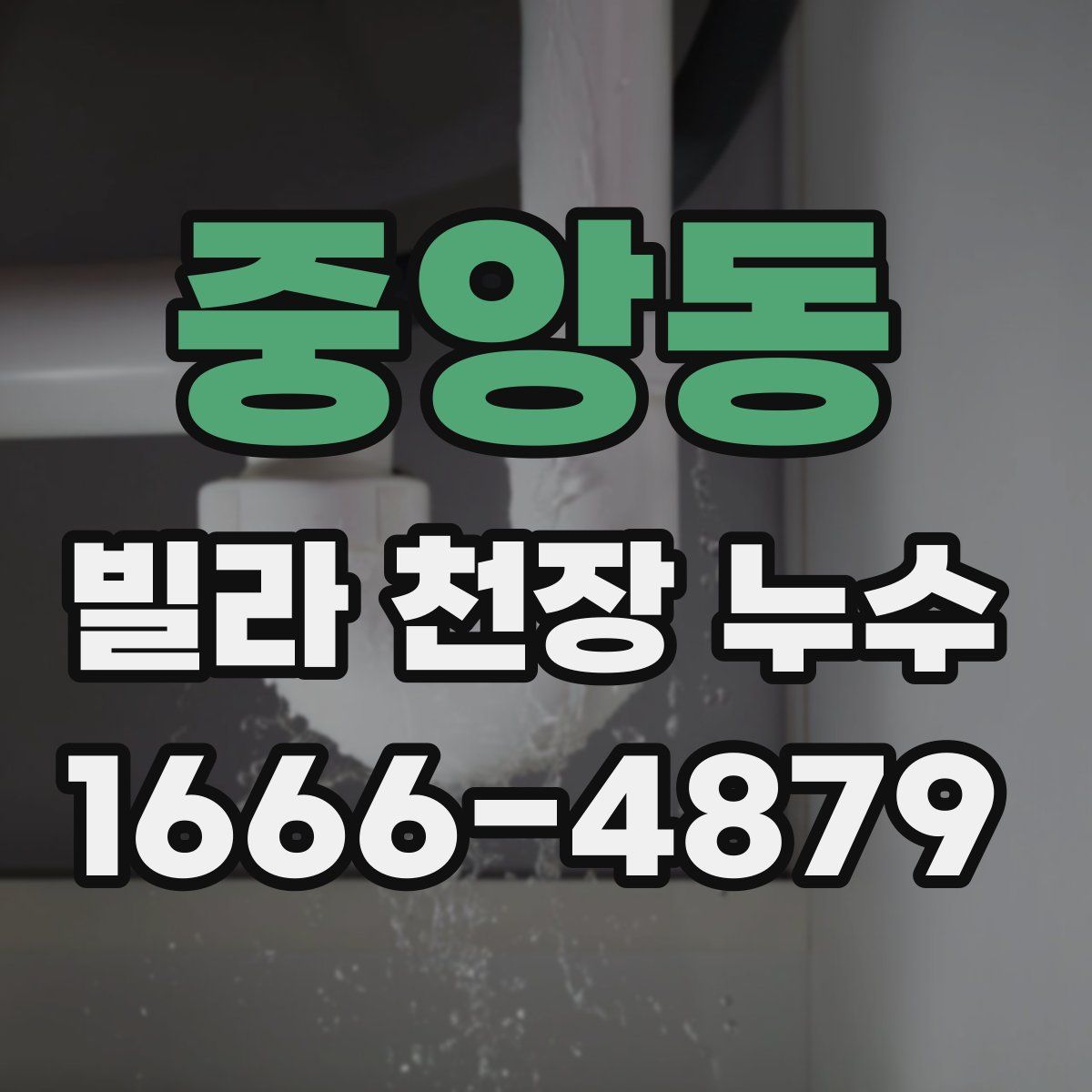 중앙동 빌라 천장 누수
