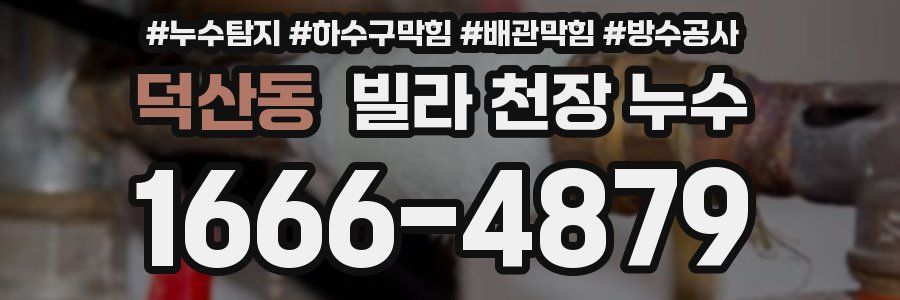 덕산동 빌라 천장 누수