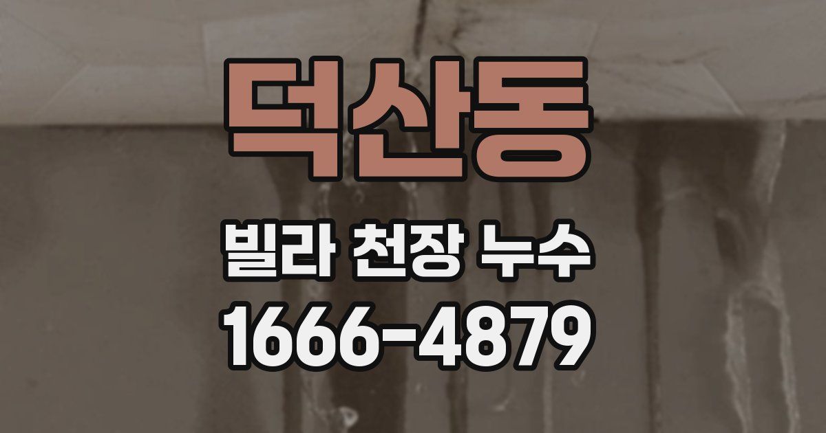 덕산동 빌라 천장 누수