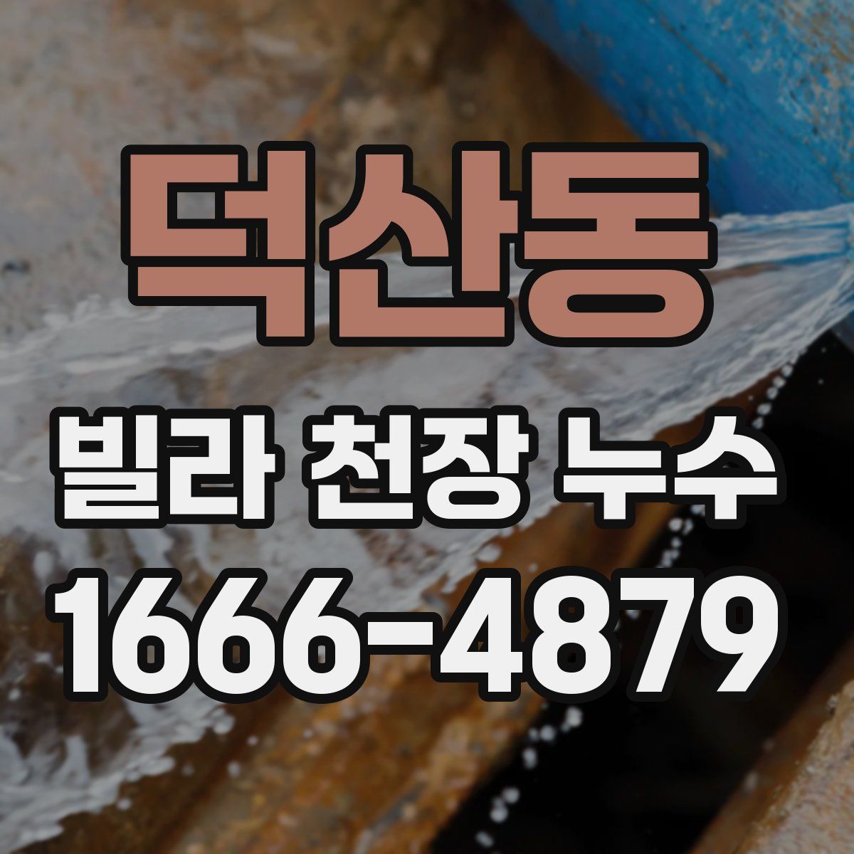 덕산동 빌라 천장 누수