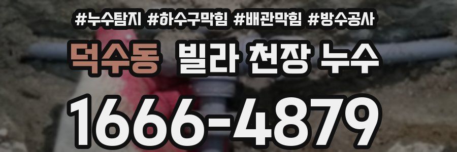 덕수동 빌라 천장 누수