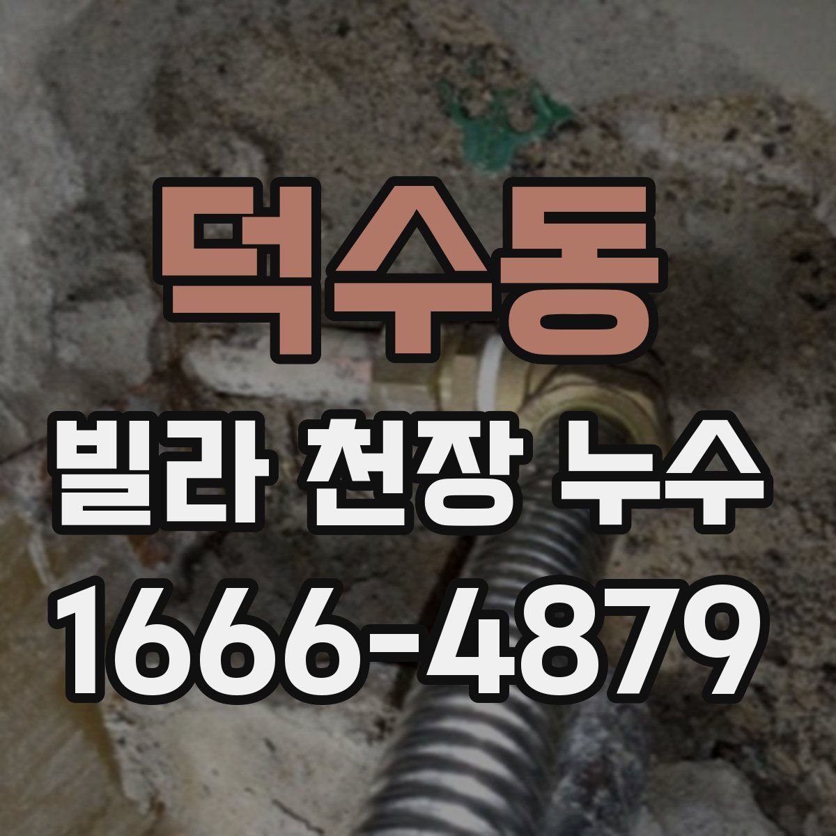 덕수동 빌라 천장 누수