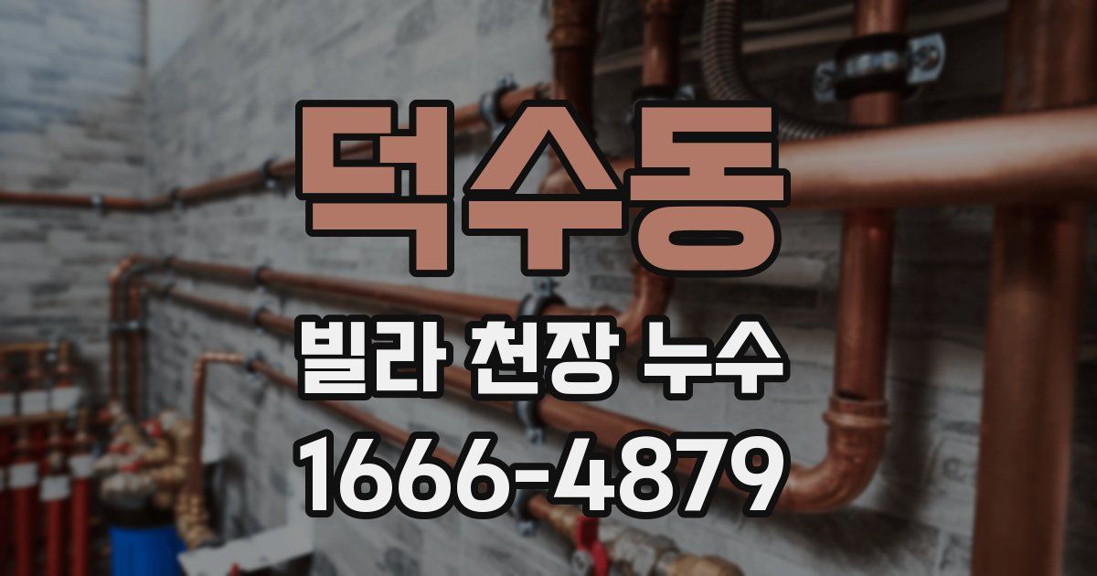 덕수동 빌라 천장 누수