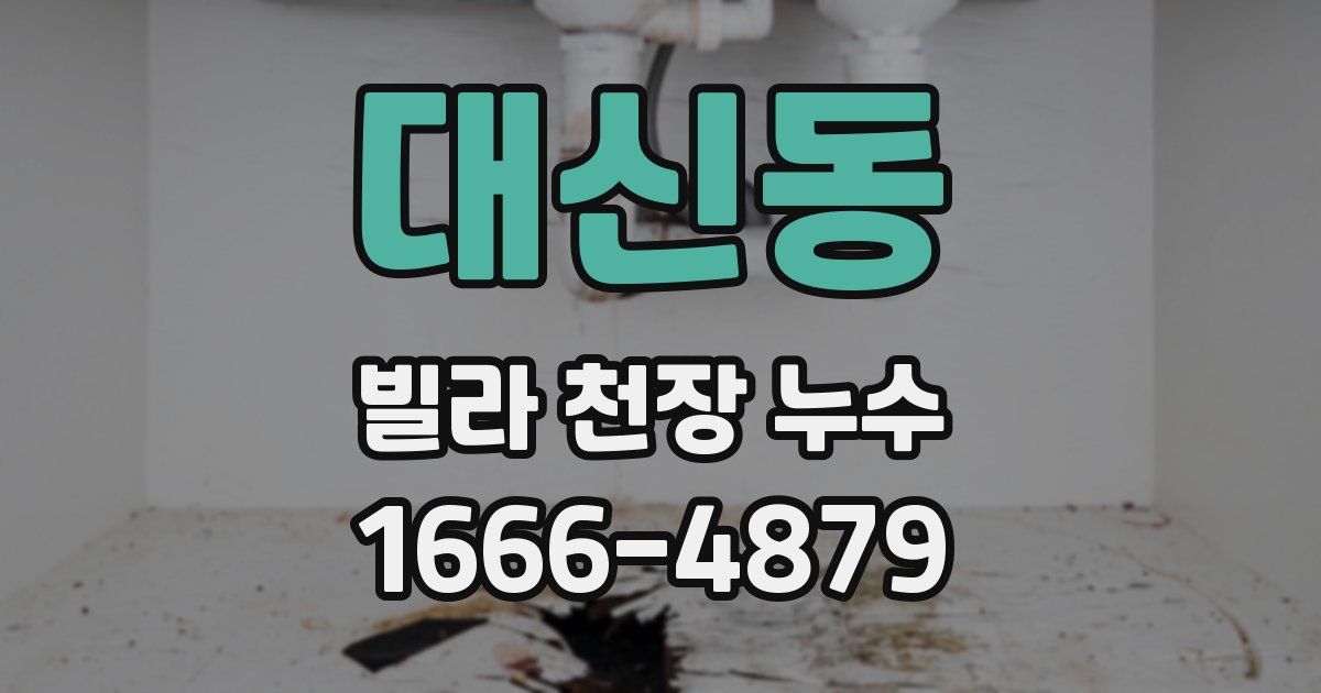 대신동 빌라 천장 누수