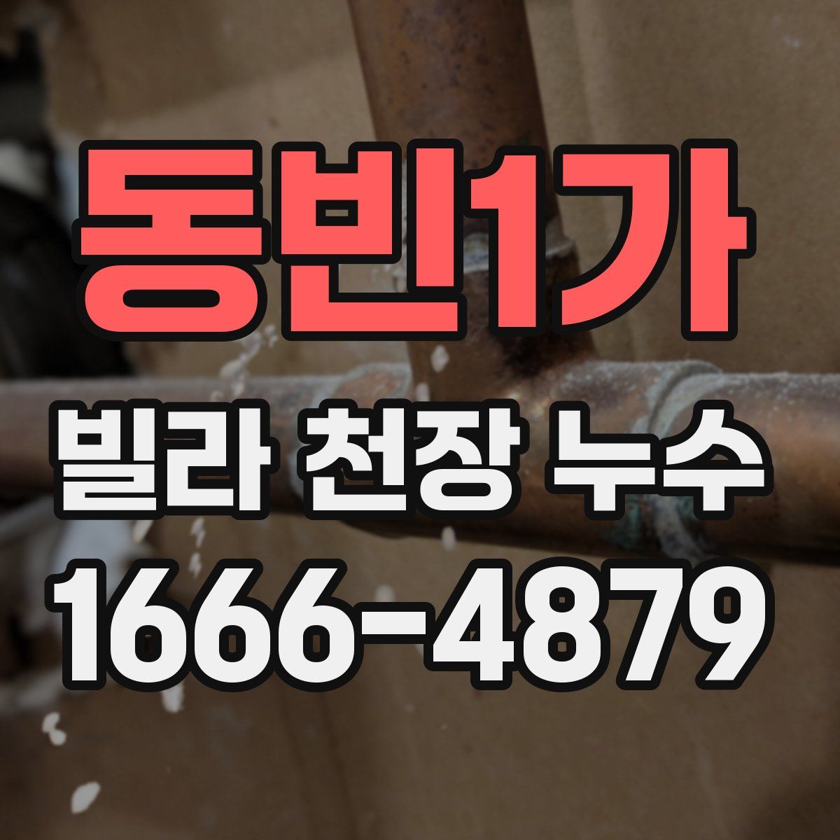 동빈1가 빌라 천장 누수