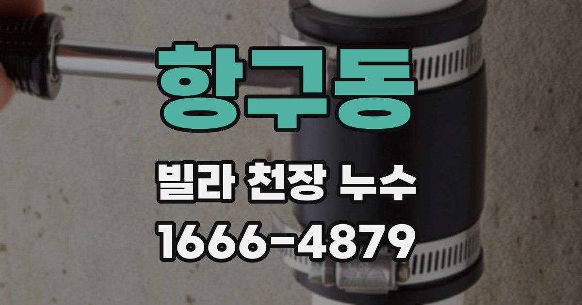 항구동 빌라 천장 누수