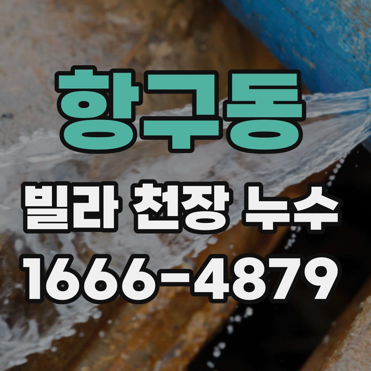 항구동 빌라 천장 누수