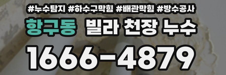 항구동 빌라 천장 누수