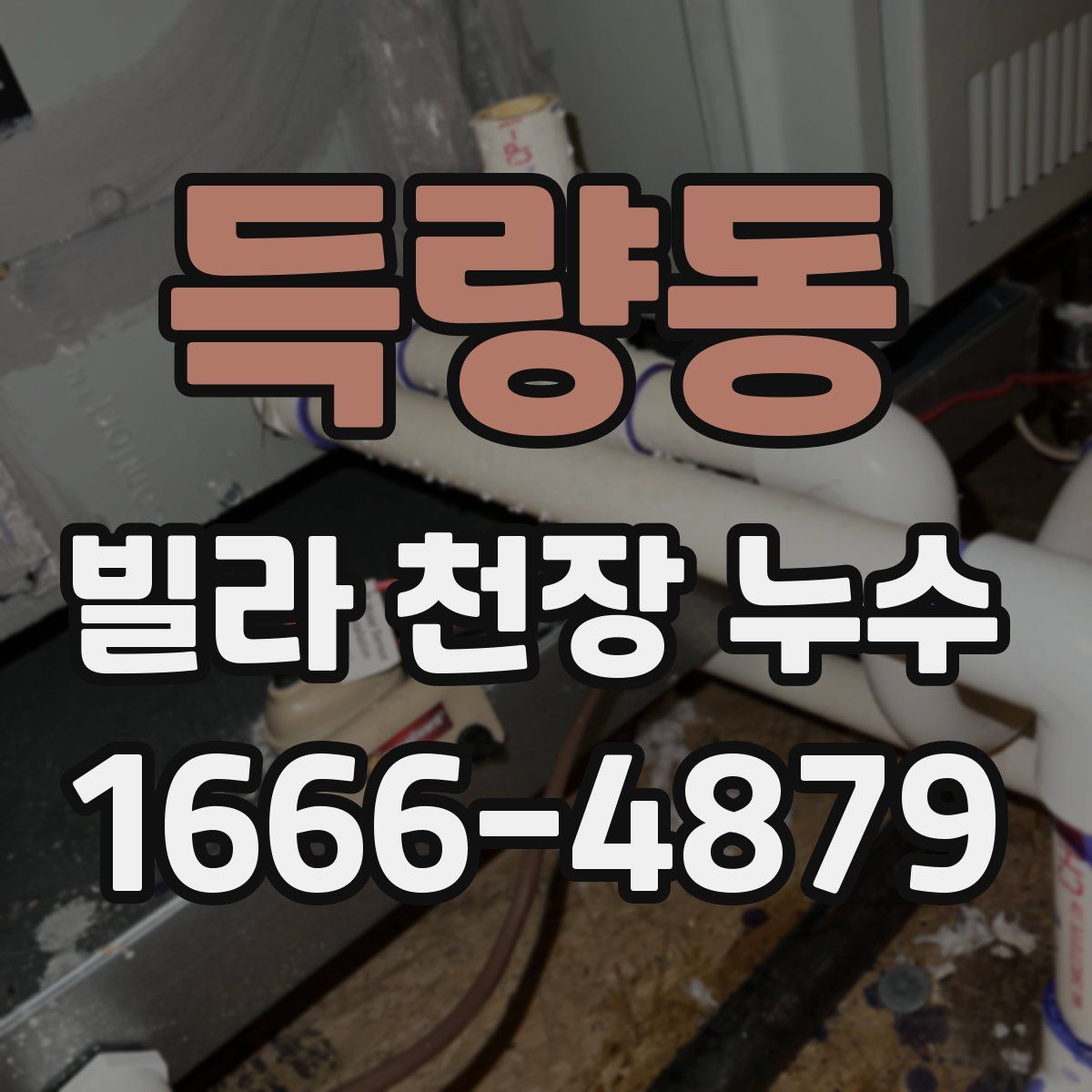 득량동 빌라 천장 누수