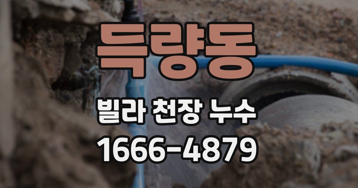 득량동 빌라 천장 누수