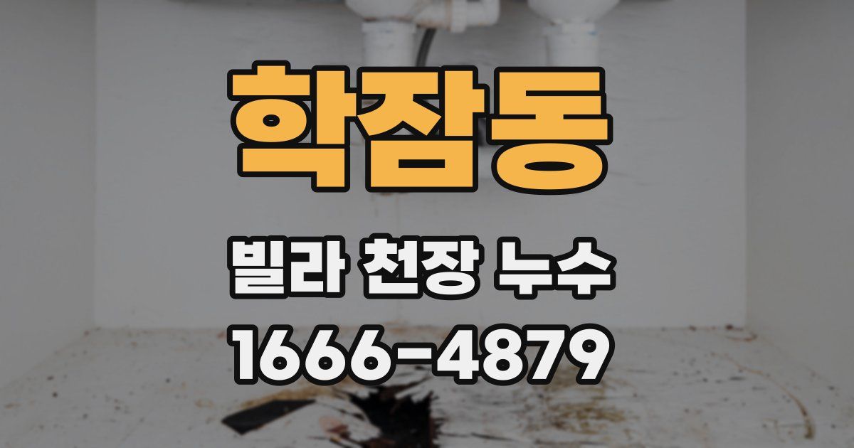 학잠동 빌라 천장 누수