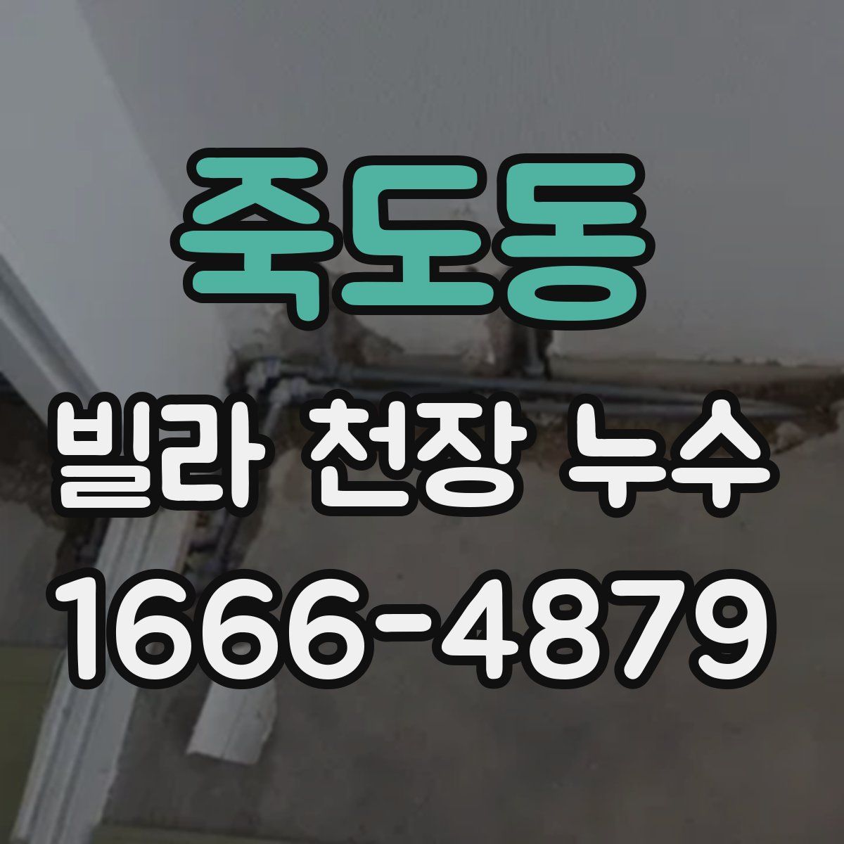 죽도동 빌라 천장 누수