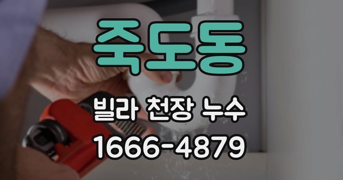 죽도동 빌라 천장 누수