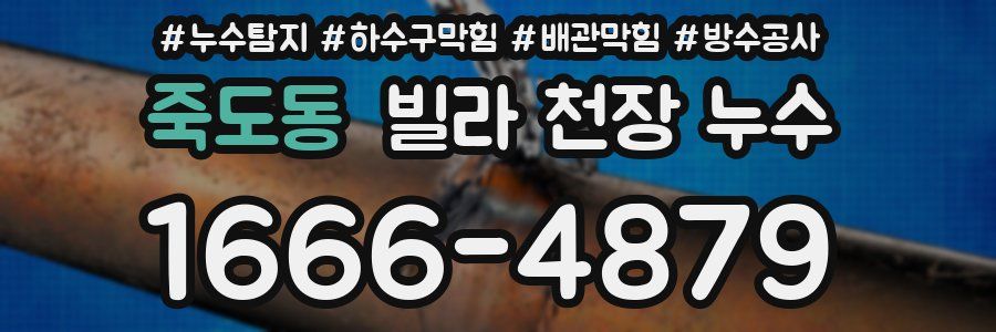죽도동 빌라 천장 누수