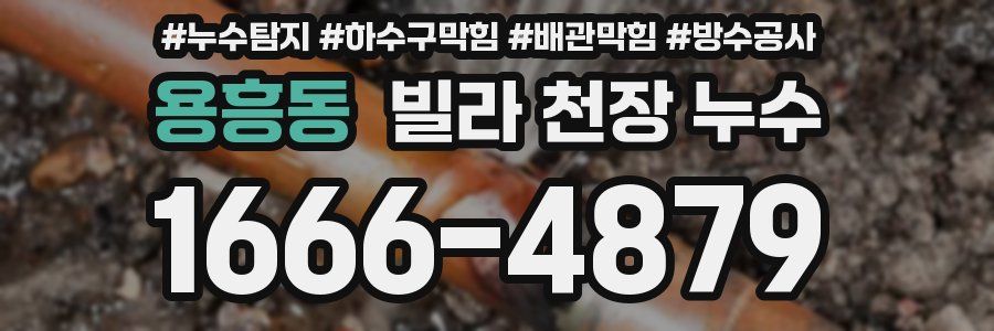 용흥동 빌라 천장 누수