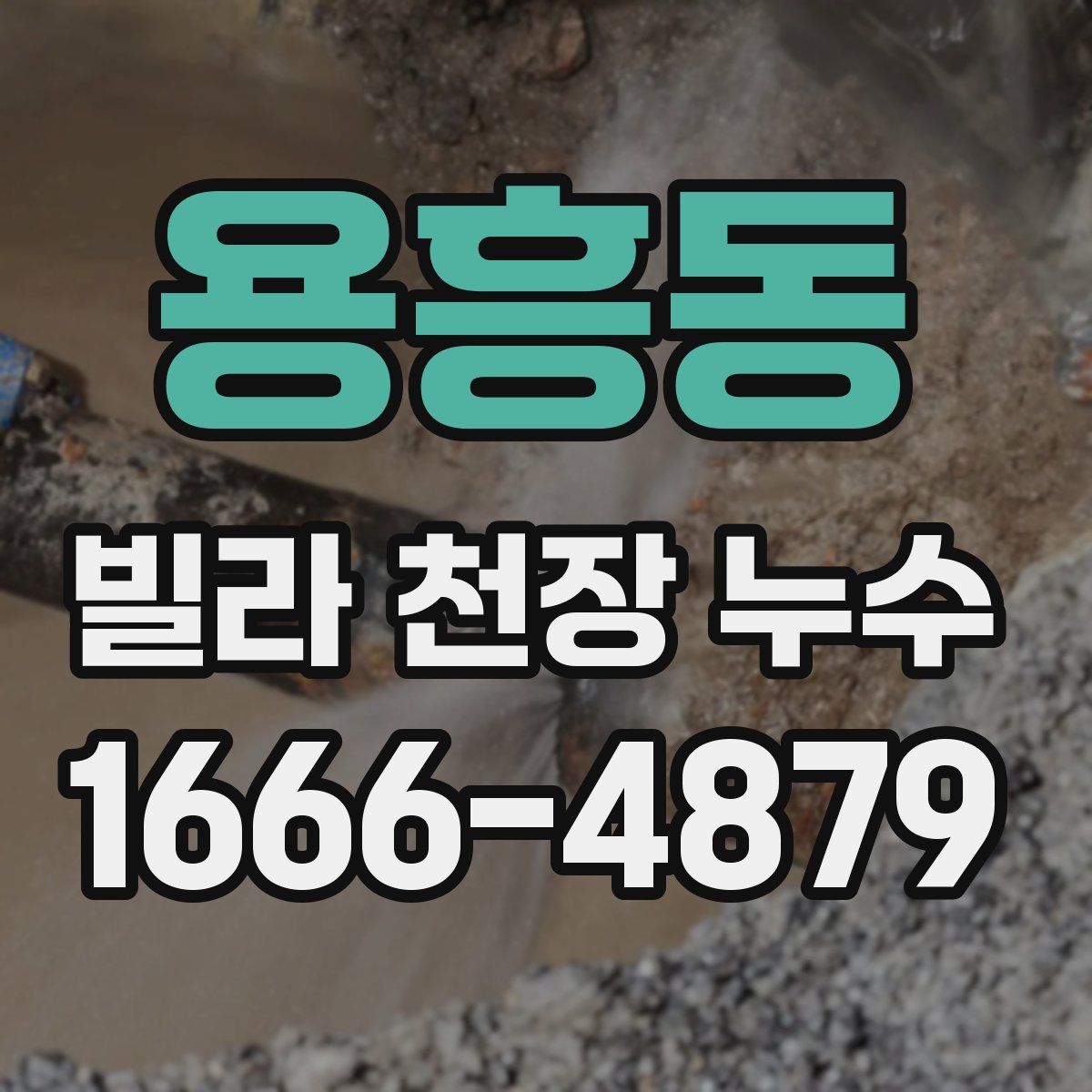 용흥동 빌라 천장 누수