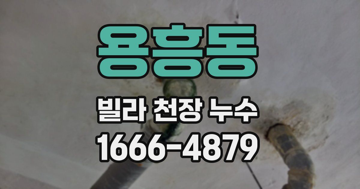 용흥동 빌라 천장 누수