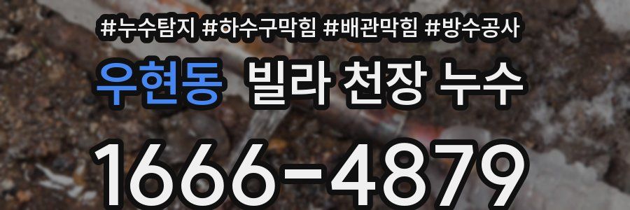 우현동 빌라 천장 누수