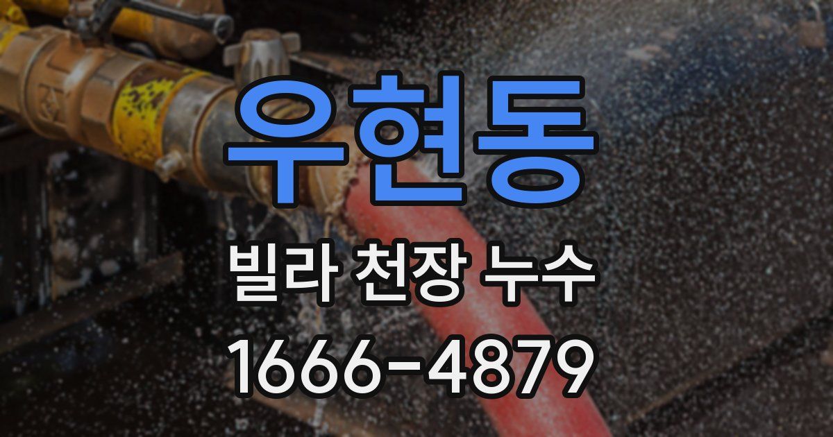 우현동 빌라 천장 누수
