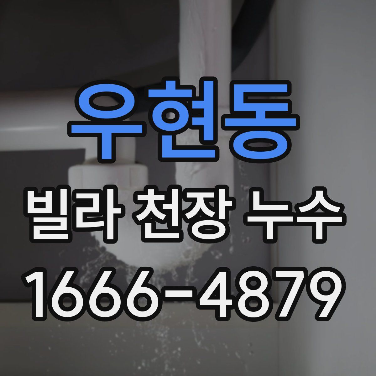 우현동 빌라 천장 누수