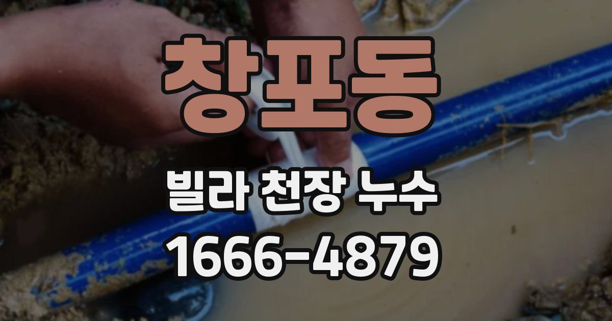 창포동 빌라 천장 누수