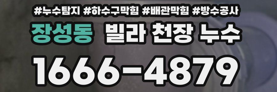 장성동 빌라 천장 누수