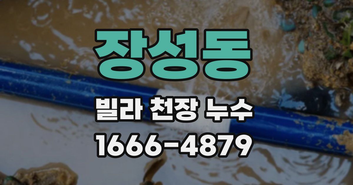 장성동 빌라 천장 누수