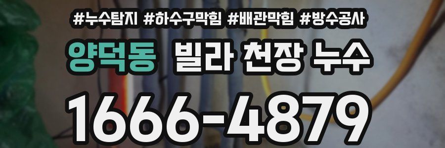 양덕동 빌라 천장 누수